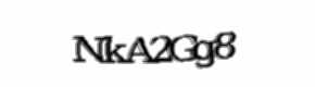 Security check image, please type the characters shown